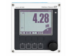 Endress+Hauser pH meter with a large display showing a pH reading of 4.28